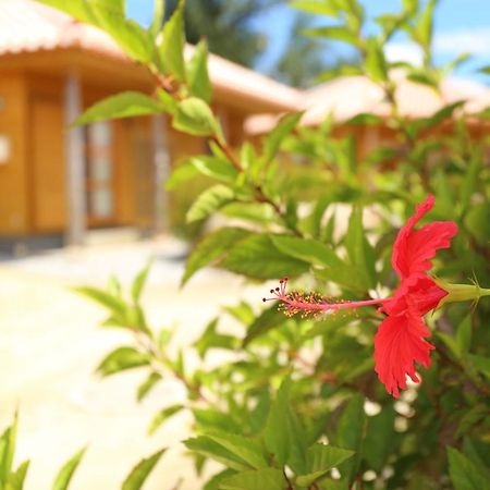 Villa Tabinoteitaku Okinawa Nakijin Homann Concept Exterior foto