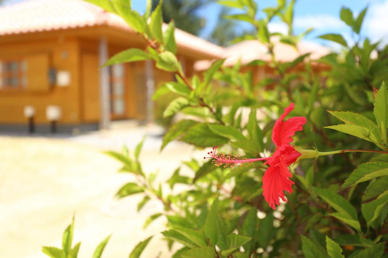 Villa Tabinoteitaku Okinawa Nakijin Homann Concept Exterior foto